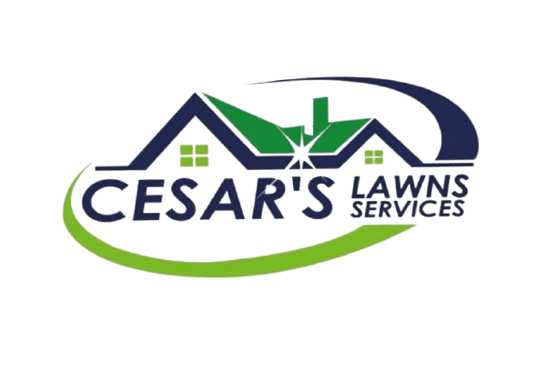 Cesar's Lawns Services logo