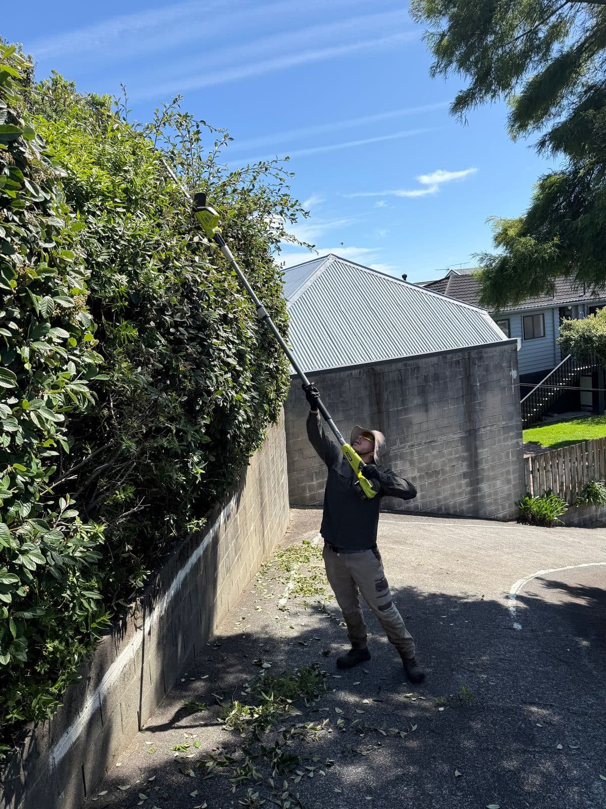 Long reach hedge trimming service Porirua Cesar's Lawns Services